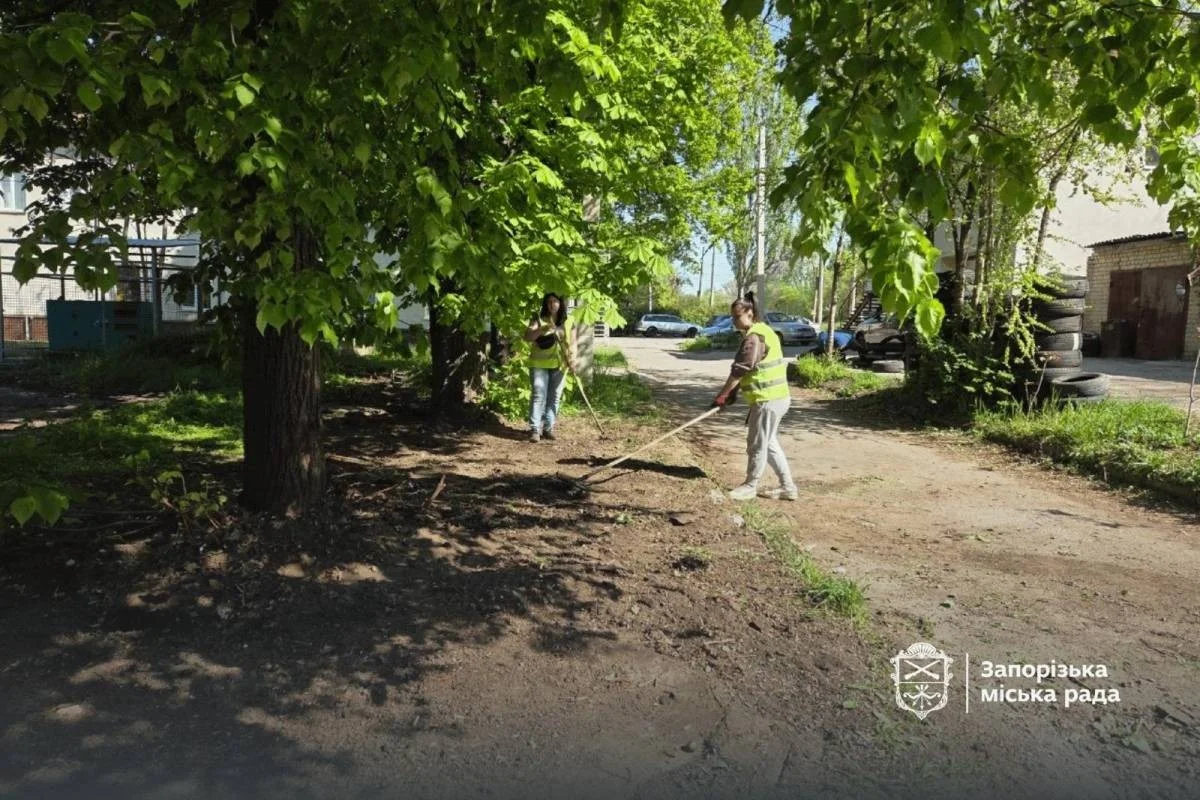 Спецтехніка проти антисанітарії: у Дніпровському районі ліквідували звалище непотрібу