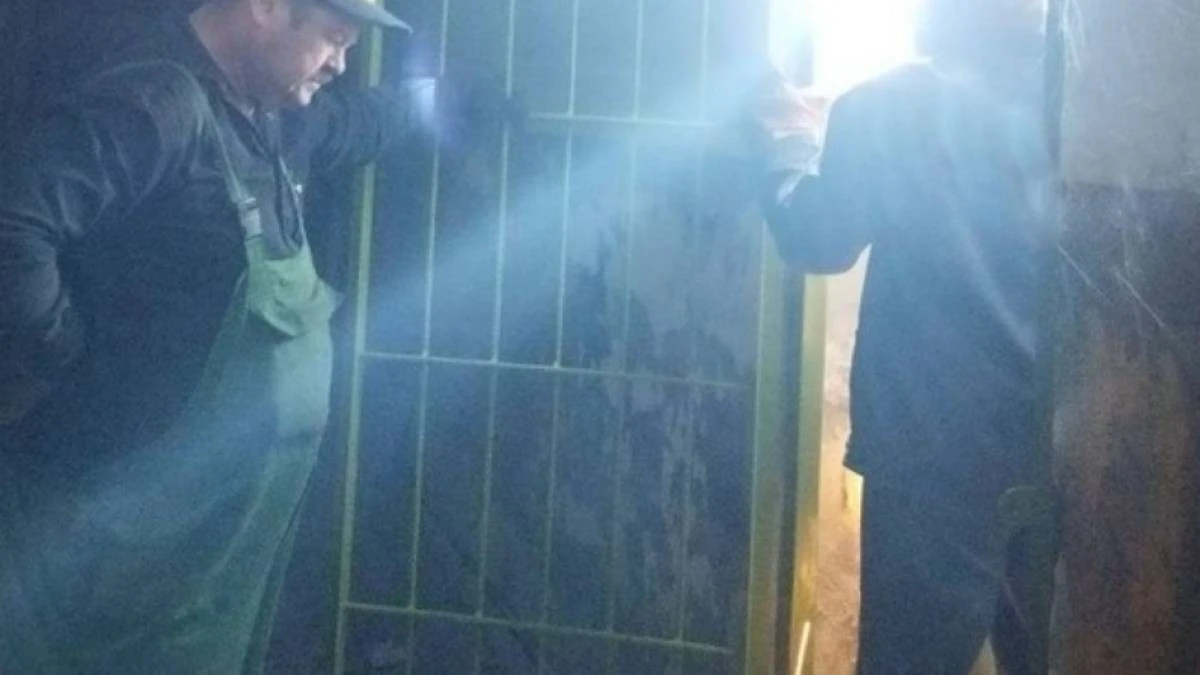 Запорізькі комунальники закрили підвали металевими ґратами
